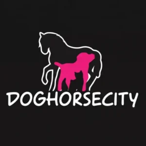 protectora Dog Horse City
