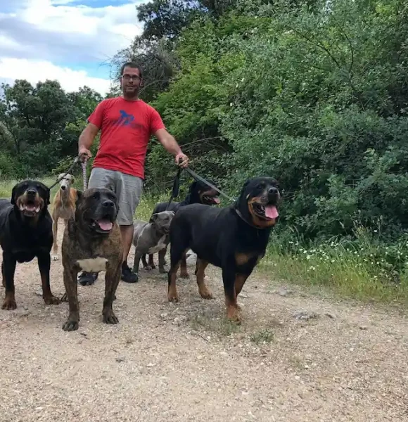 quienes-somos-dogHorseCity-Toledo